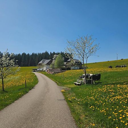 Lorenzenhaeusle Titisee-Neustadt Luaran gambar