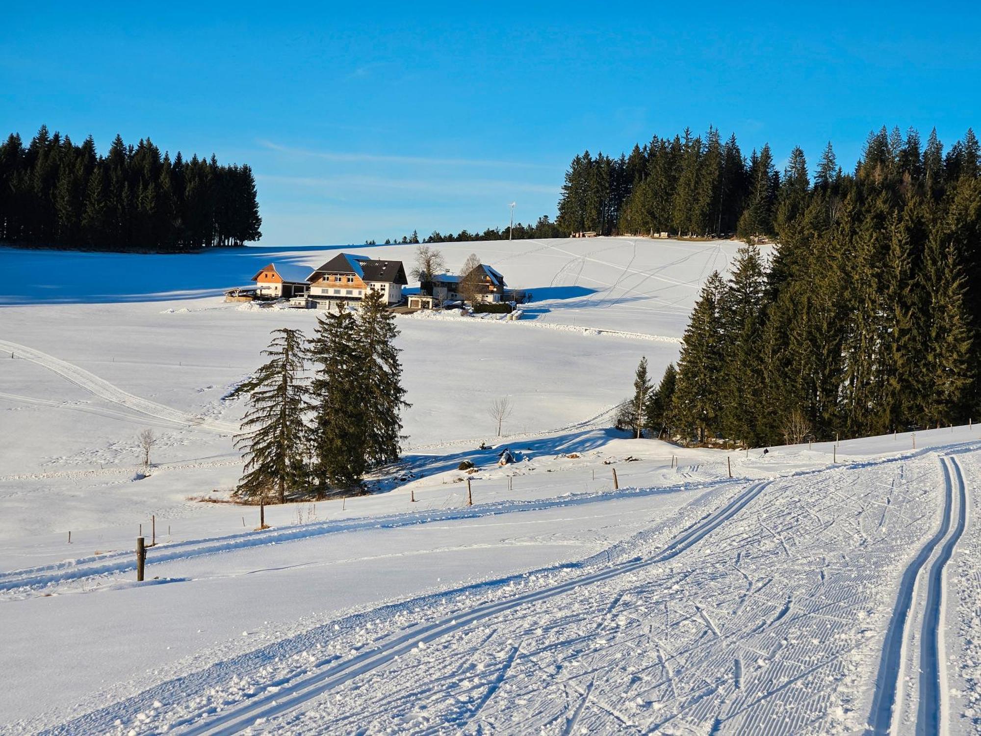 Lorenzenhaeusle Titisee-Neustadt Luaran gambar