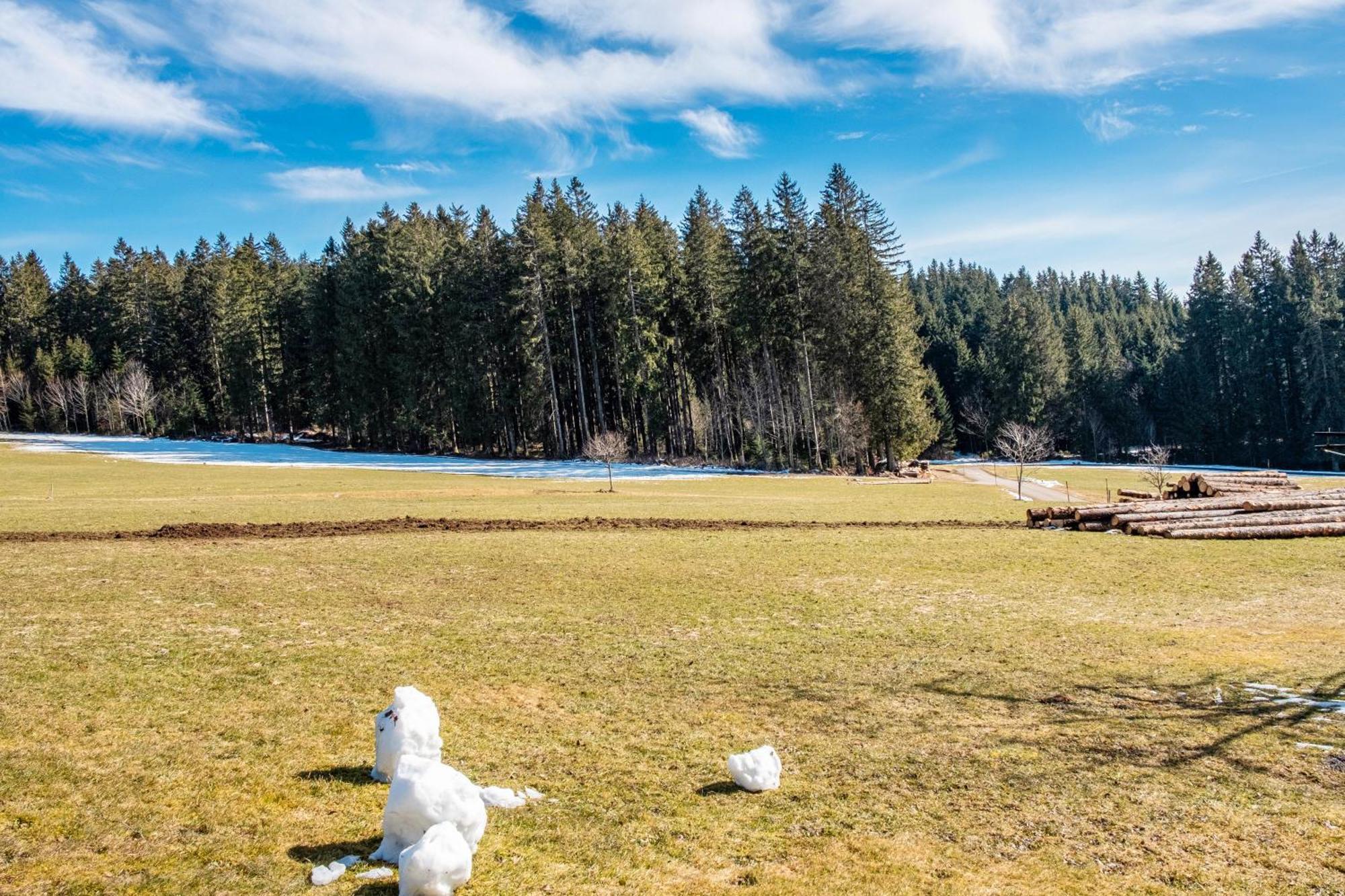Lorenzenhaeusle Titisee-Neustadt Luaran gambar