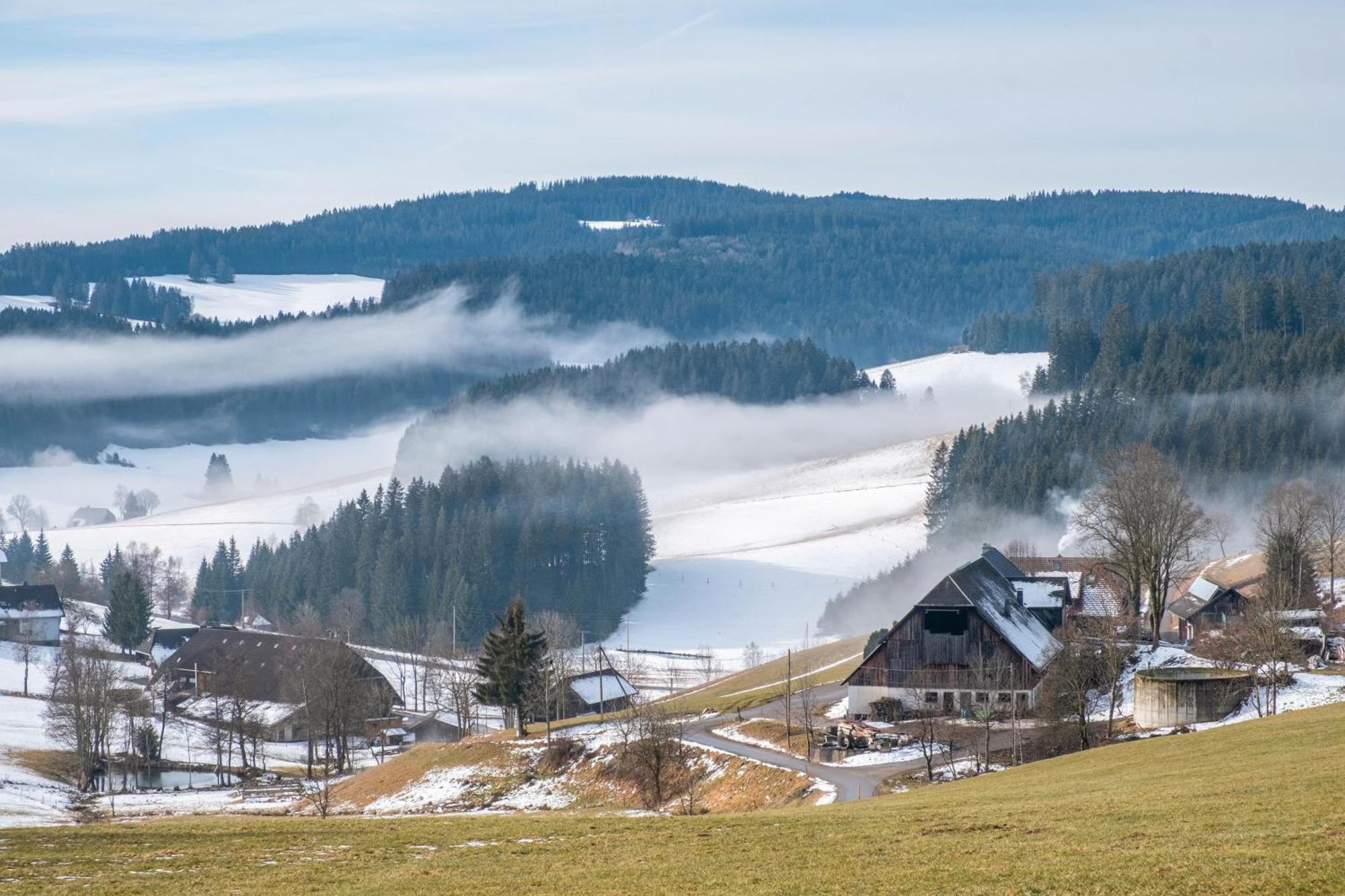 Lorenzenhaeusle Titisee-Neustadt Luaran gambar