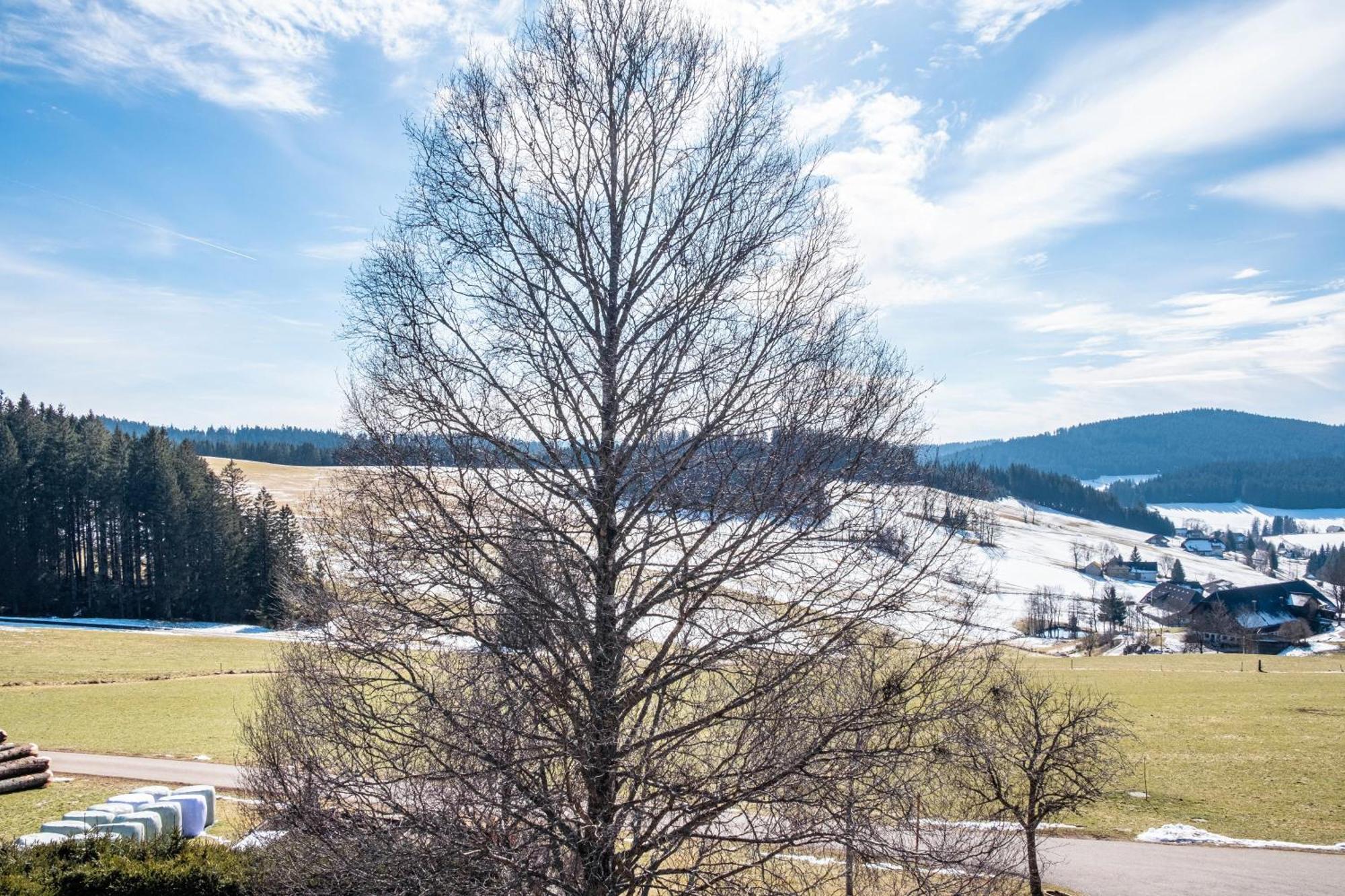 Lorenzenhaeusle Titisee-Neustadt Luaran gambar