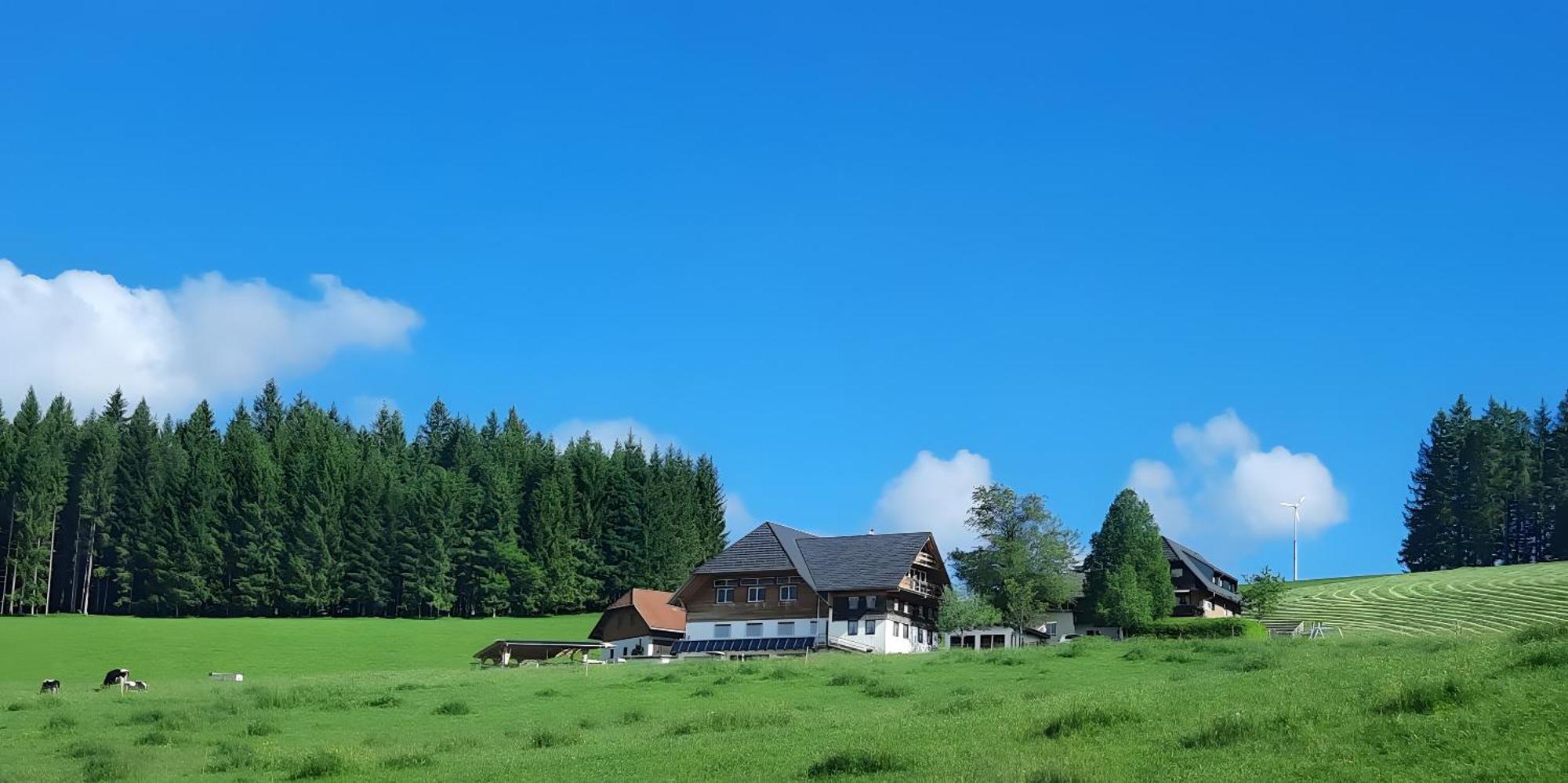 Lorenzenhaeusle Titisee-Neustadt Luaran gambar