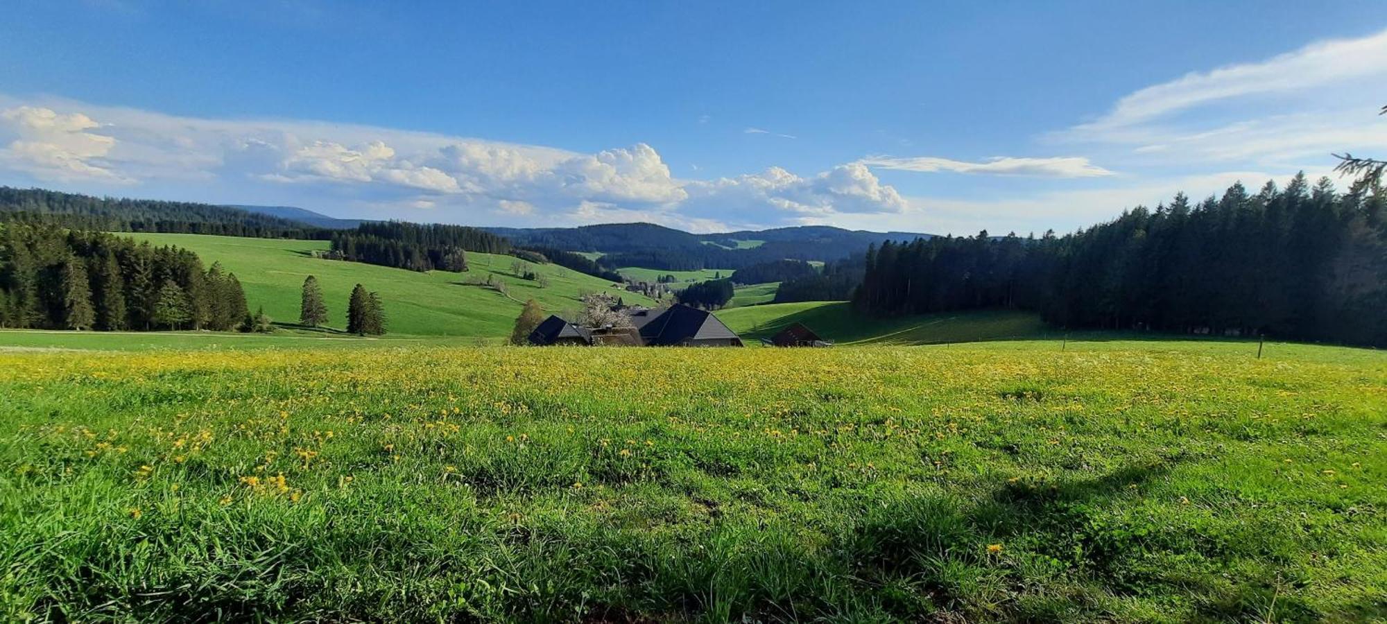 Lorenzenhaeusle Titisee-Neustadt Luaran gambar