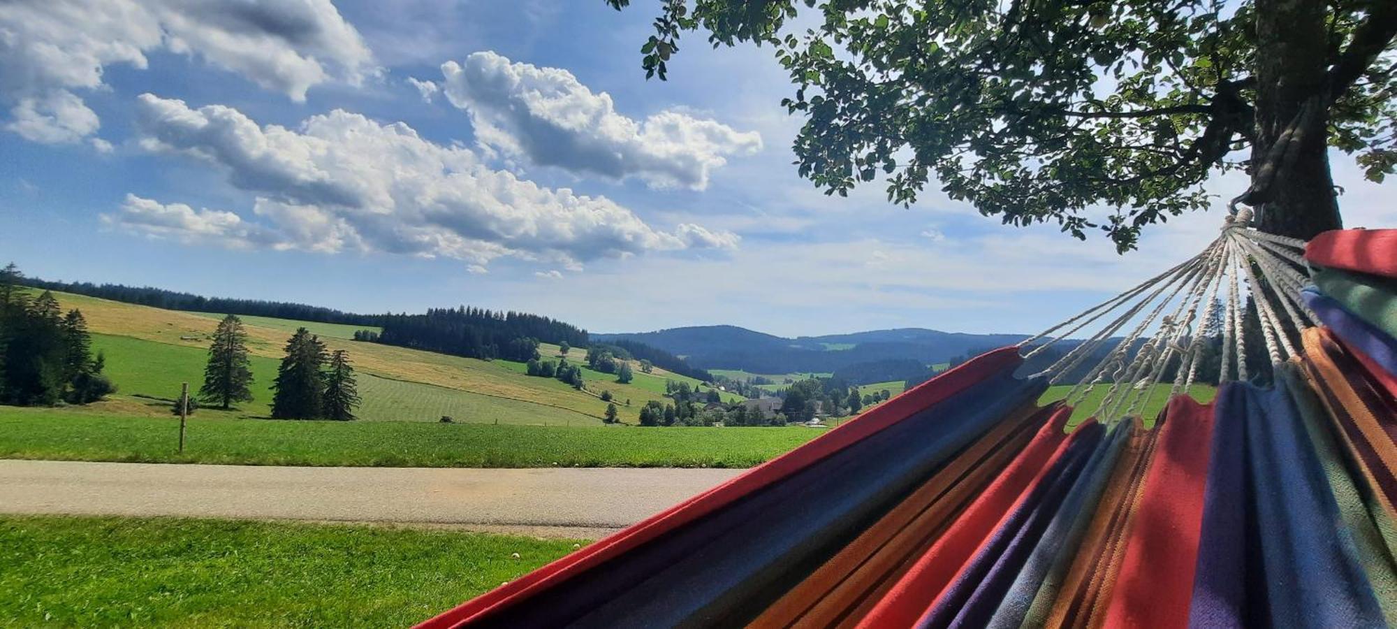 Lorenzenhaeusle Titisee-Neustadt Luaran gambar