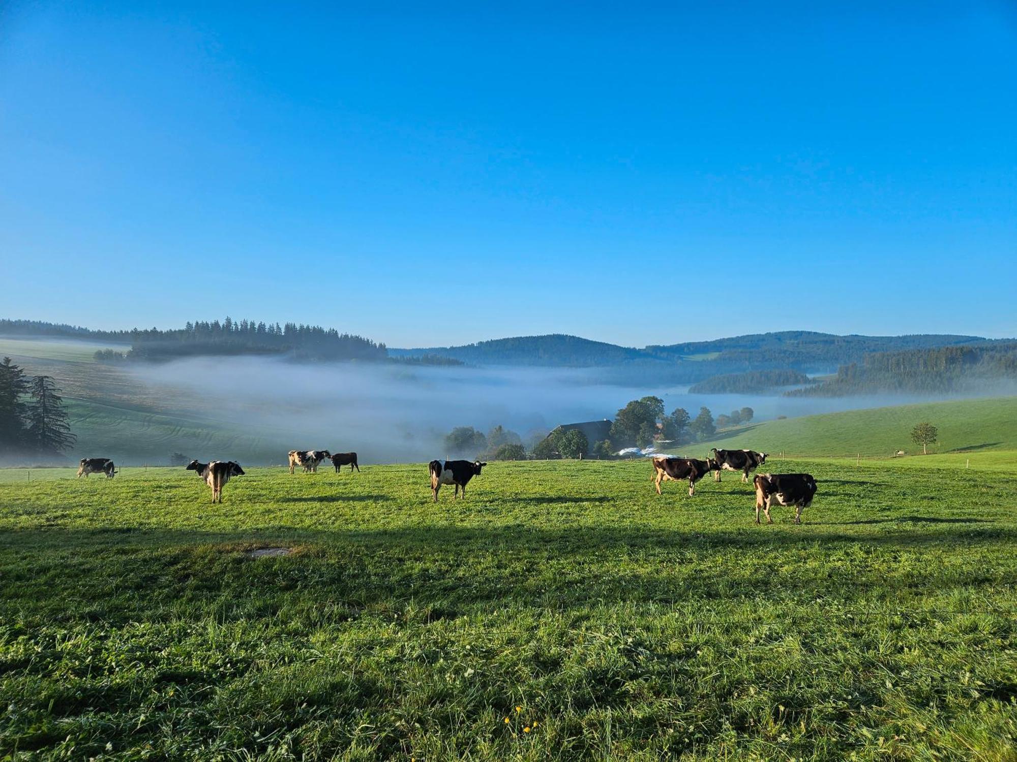 Lorenzenhaeusle Titisee-Neustadt Luaran gambar
