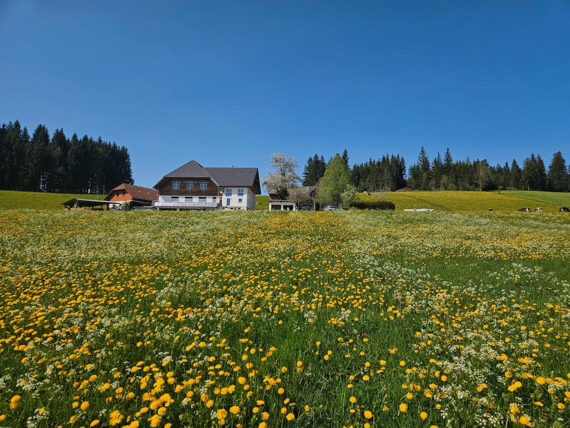 Lorenzenhaeusle Titisee-Neustadt Luaran gambar
