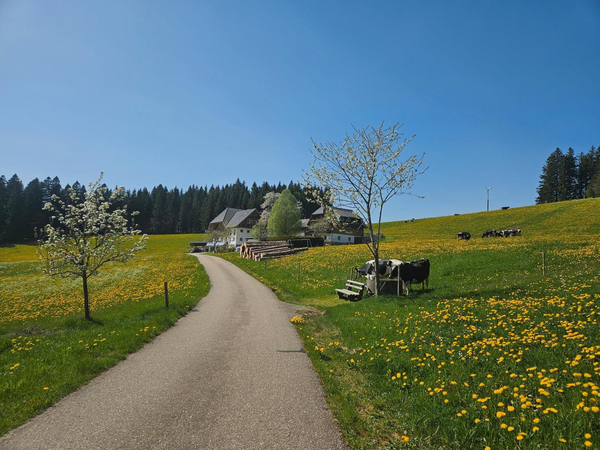 Lorenzenhaeusle Titisee-Neustadt Luaran gambar